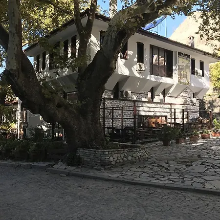 Chavkova House