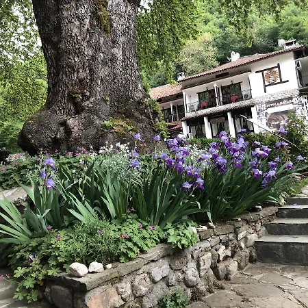 Chavkova House