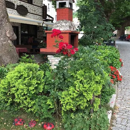 Chavkova House Hotel